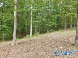 9 Spindle Top Dr, Guntersville, AL 35976