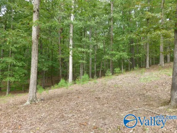 9 Spindle Top Dr, Guntersville, AL 35976