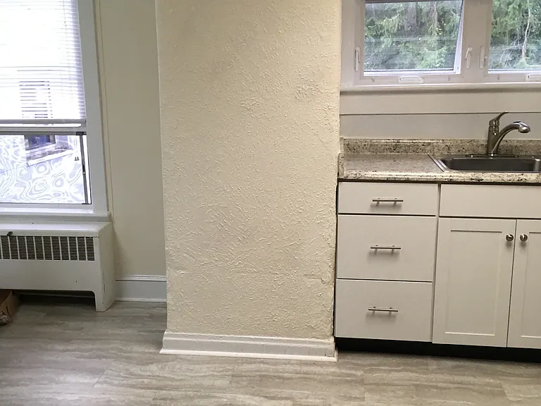 Kitchen pic 6