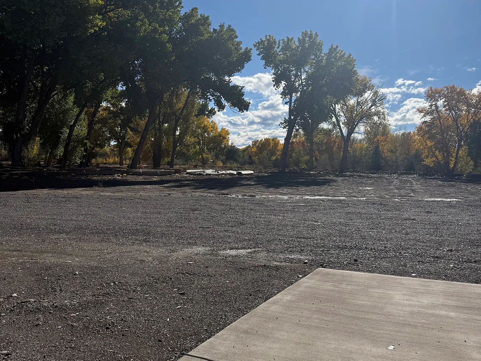 1 bed, $1,150 — Photo 1