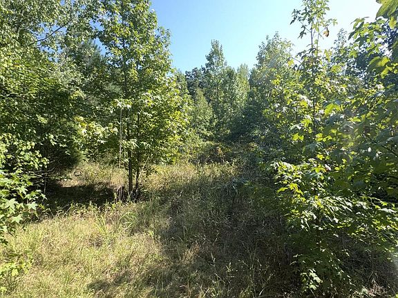 5th image of 0 Flat Swamp Rd