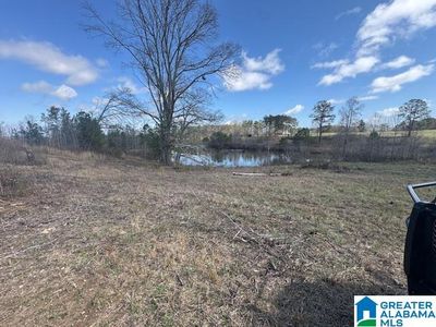 County Road 605, Wedowee, AL, 36278