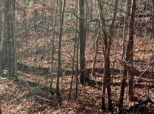 441 Hurley Way, Dandridge, TN 37725