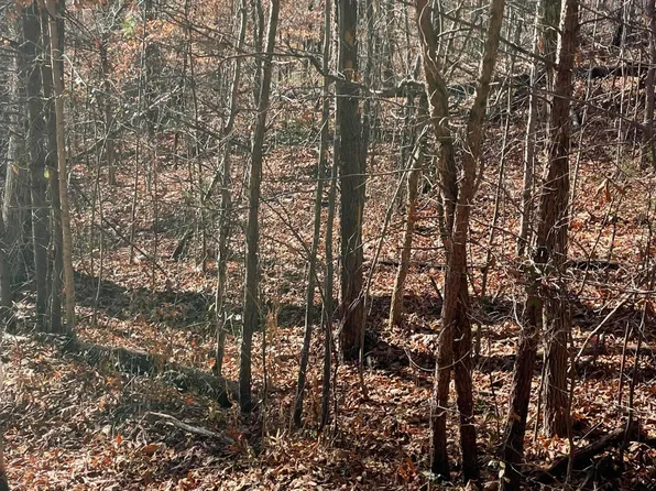 441 Hurley Way, Dandridge, TN 37725