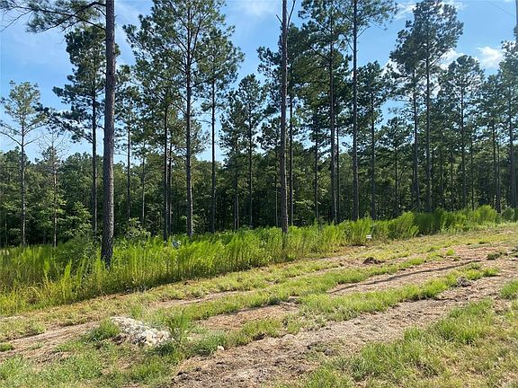 LOT 35 Rolling Pines Dr, Livingston, TX 77351 | MLS #59162637 | Zillow