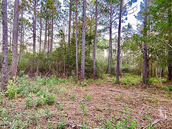 5th image of L-370 E Boiling Spring Rd Lot 370