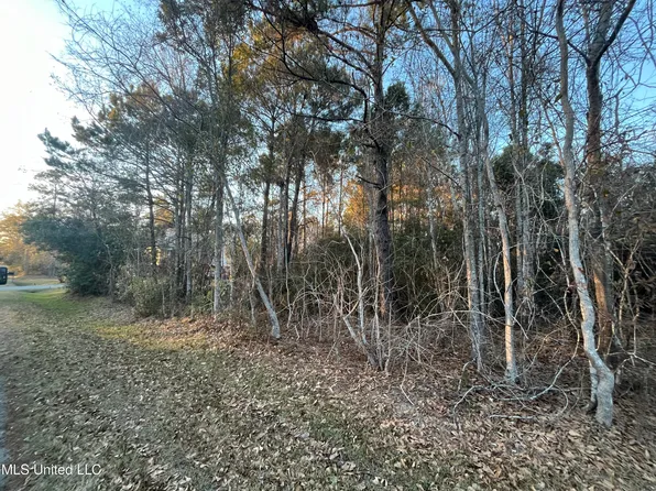 Lots 9 11 Pecan Ridge Dr Lot 9-11, Waveland, MS 39576