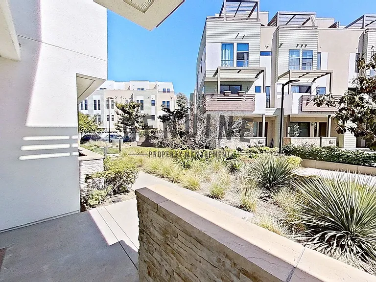 664 Wedge — Photo 3