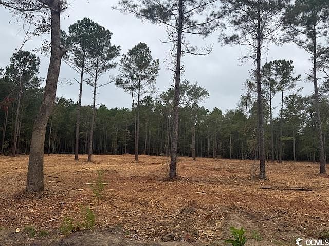 2nd image of 2-A McNabb Rd.