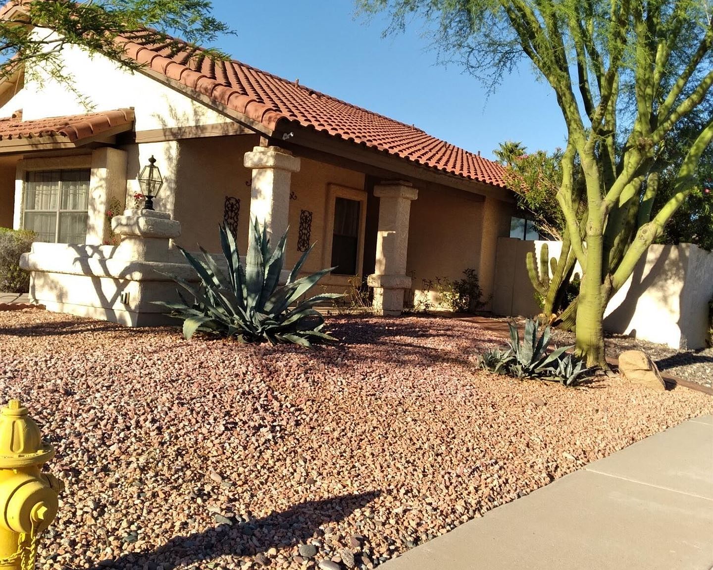 12437 S 38th Pl, Phoenix, AZ 85044 | Zillow