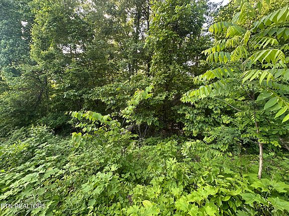 5th image of Pine Hollow Rd