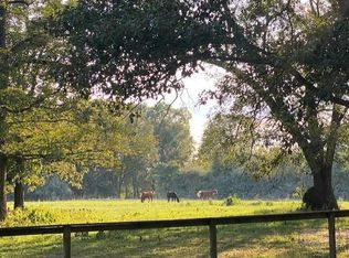 2302C King Rd, Mountain Grove, MO 65711