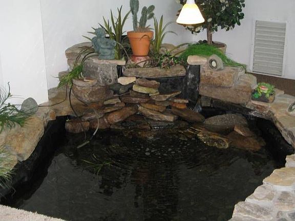 Koi Pond