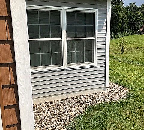Master Bedroom windows