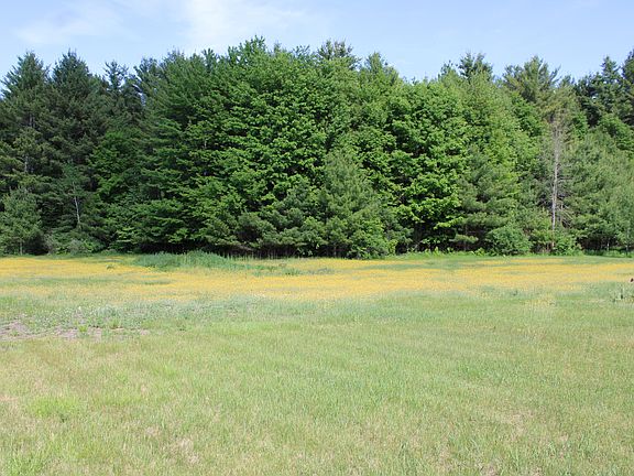 5th image of 1287 N Star Rd