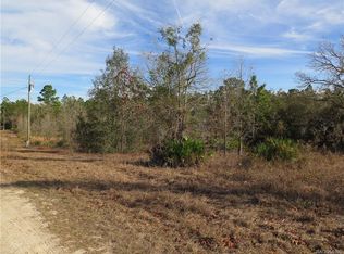 7264 W Crinoline Ln, Dunnellon, FL 34433