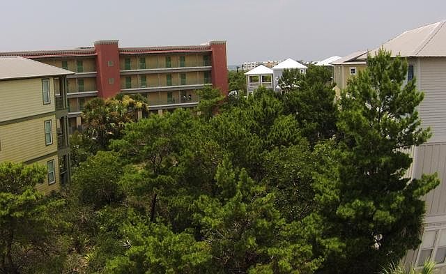 2nd image of Tbd Blue Crab Loop W