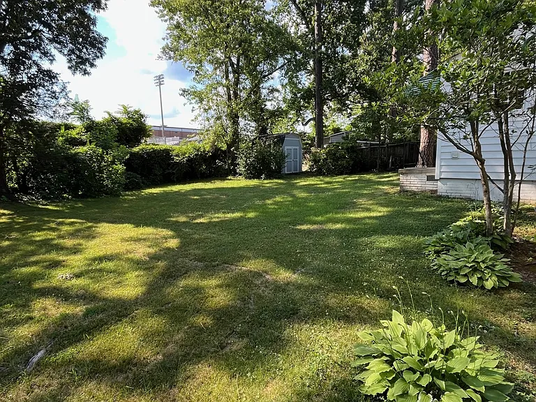 Backyard