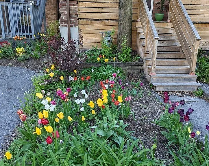 264A Hastings Ave #MAIN — Photo 20