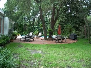 Another look at the back yard