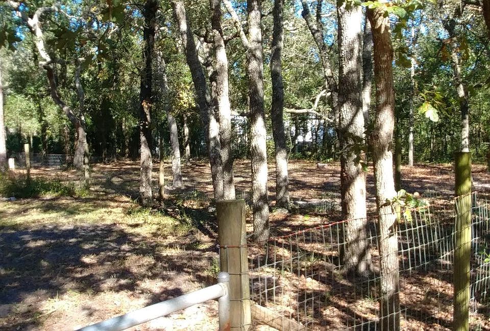 2nd image of 223 Dolphin Cir