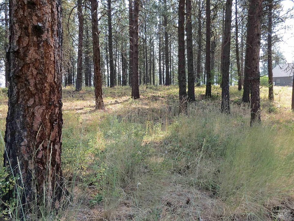 1st image of LOT 64 White Pine Dr