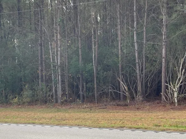 TBD Highway 917, Loris, SC 29569