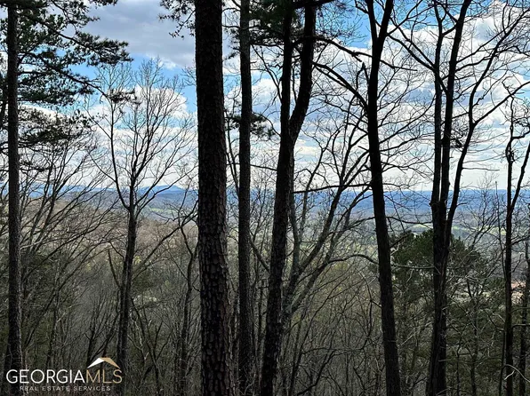 0 Pittman Rd NE, Ranger, GA 30734