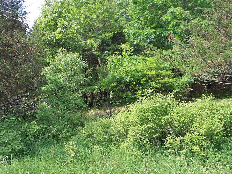 2nd image of 158 Charwill Dr