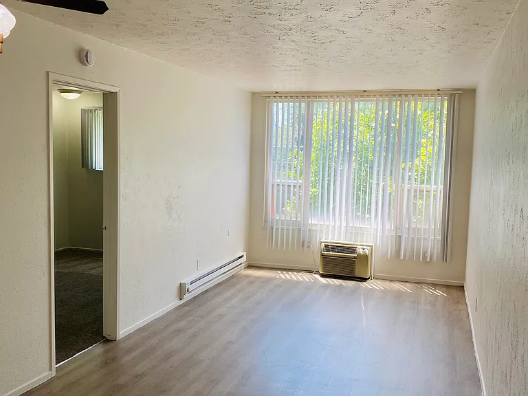 Caledonian Apartments — Photo 3