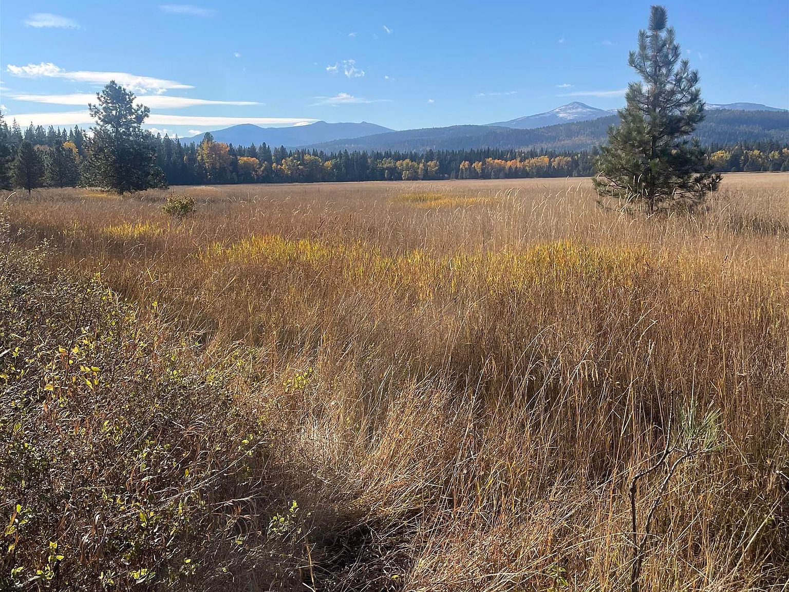 360 Chuck Wagon Ln, Cusick, WA 99119 MLS 202420359 Zillow