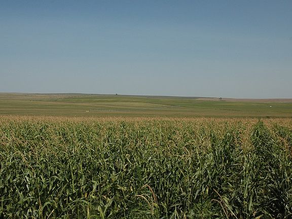 4th image of 35462 Road 741