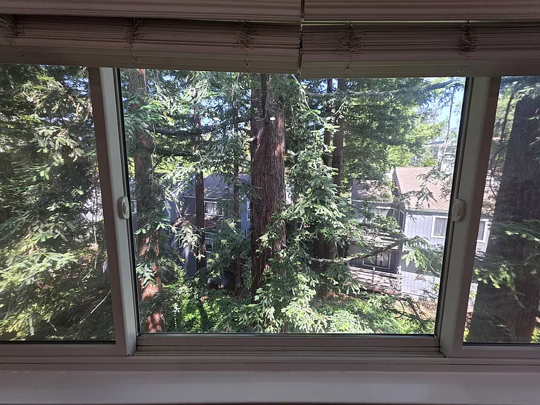 1884 Sally Creek Cir — Photo 10