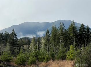 3 xxx Snow Creek Road, Quilcene, WA 98376