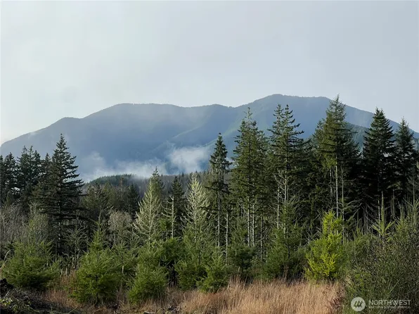3 xxx Snow Creek Road, Quilcene, WA 98376
