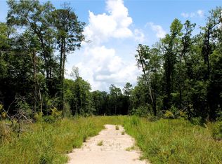 12425 Picos Rd, Saratoga, TX 77585