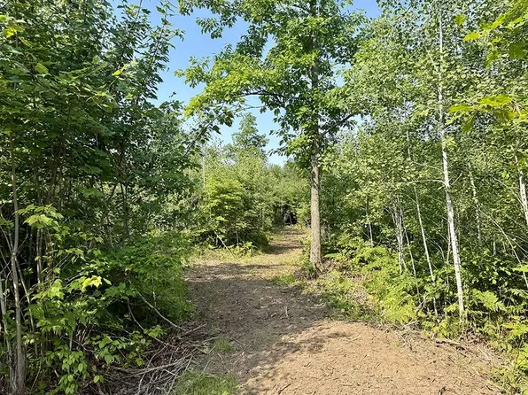 6 E County Road T, Danbury, WI 54830
