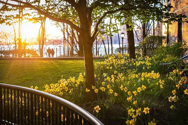 Rented by LL Real Estate Services | media 15