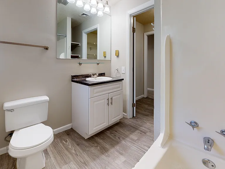 The bathroom in The Pioneer layout features a deep soaking tub, contemporary vanity, and wood-style flooring.