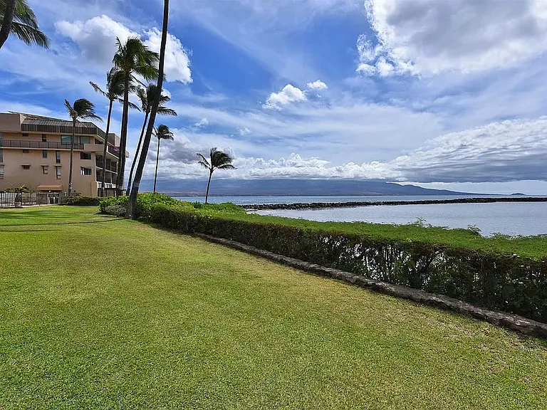 30 Hauoli St #304 — Photo 26