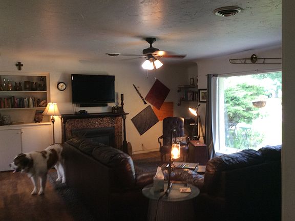 Dog not included