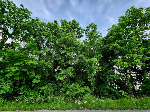 0 Ashley Ln Lot 53, Dayton, TN 37321