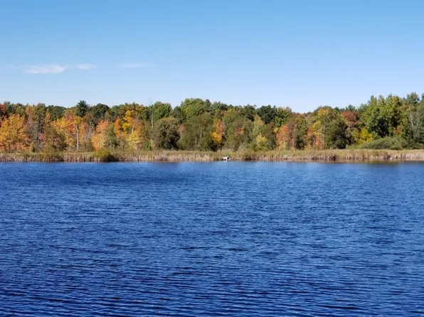 9892 Fawn Lake Dr, Stanwood, MI 49346