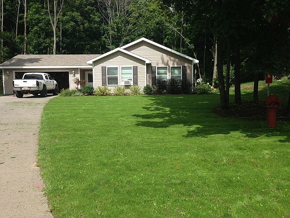 Nice lawn 