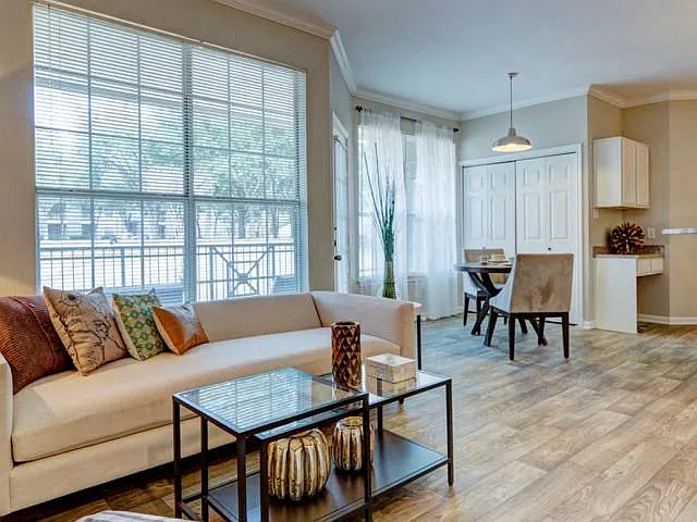 Living Rooms With Lots Of Natural Lighting