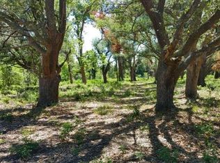 0 Bazile Daigle Rd, Lake Charles, LA 70607