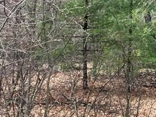 000-303 Otter Trail Rd, Alger, MI 48610