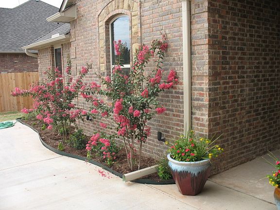 3rd image of 1614 NW 37th St