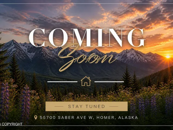 55700 Saber Ave W, Homer, AK 99603