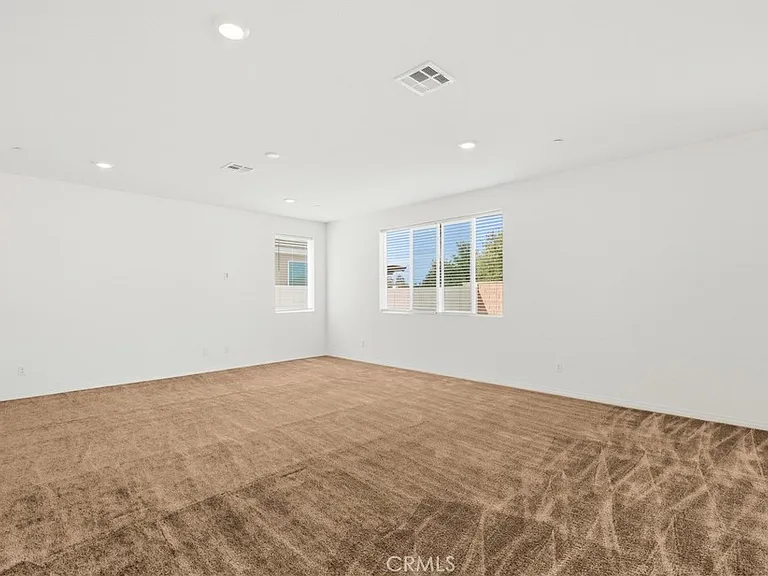 27215 Lost Palm St — Photo 21